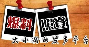 中山新闻爆料平台,聚焦民生热点,共筑和谐家园  第2张 中山新闻爆料平台,聚焦民生热点,共筑和谐家园  第2张