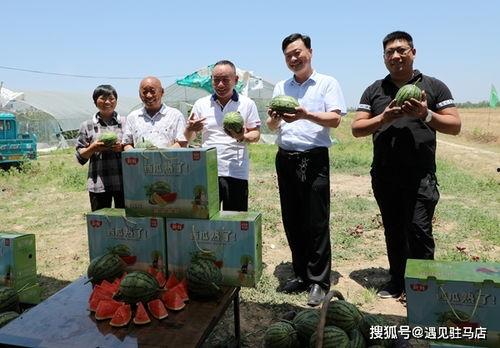 邳州网红吃小瓜事件始末,一场网络争议的发酵与反思 第2张 邳州网红吃小瓜事件始末,一场网络争议的发酵与反思 第2张
