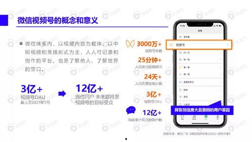 好婚照大师爆料视频下载,视频下载背后的秘密与技巧 第2张 好婚照大师爆料视频下载,视频下载背后的秘密与技巧 第2张