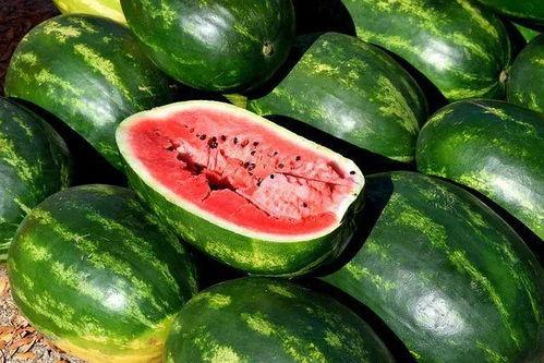 云南哪里可以免费吃瓜,这些地方让你免费畅享夏日清凉