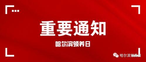 今日关注爆料前提条件,独家爆料背后的真相与影响